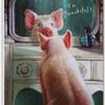 piggywigee's profile picture