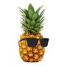 Profilbild von DrPineapple