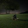Javi Tama's profile picture