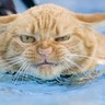 Галактионов Евгений profil fotoğrafı