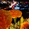 Фото профиля SirBhd