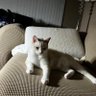 winter's profile picture