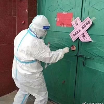 Songpinganq's profile picture