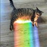 bissta's profile picture
