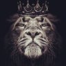 liiions.ir's profile picture