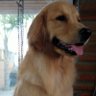 Naldo Alonso's profile picture
