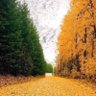 Фото профиля Brian Murphy