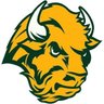Фото профиля bisonfan86