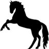 Фото профиля All animals are created equal