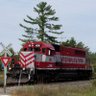 Фото профиля 🚂 Tom G 🇺🇸