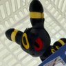 まいにちがエブリデイ's profile picture
