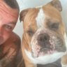 Chris & Angel Henry the Bulldog ๐๐ป๐พ๐'s profile picture