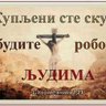 Горан 的头像