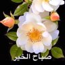اشرف مصطفي عبد اللطيف's profile picture