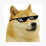 Dogeturd ™ 的头像