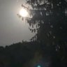Martina giuntoli profil fotoğrafı