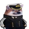 Felix profil fotoğrafı