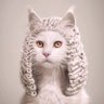 Jly's profile picture