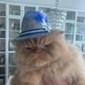 Max’s mom's profile picture