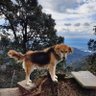 ZCofie profil fotoğrafı