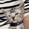 Romi☆ profil fotoğrafı