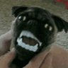 Profilbild von Mild Dog