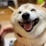 ようさん♂ profil fotoğrafı