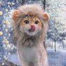 god0like's profile picture