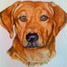 Artlessone's profile picture