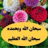 Profilbild von سمراء الوادى