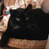 Eugenia's profile picture