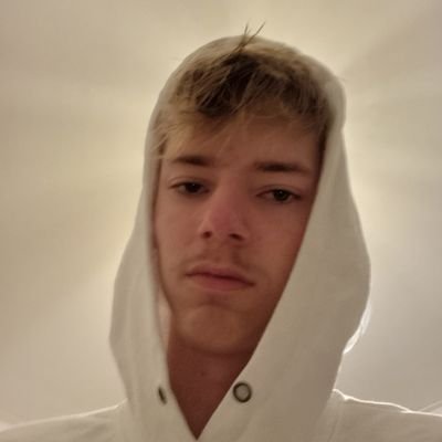 Lolli's profile picture
