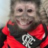 FLAJDeus🔴⚫ profil fotoğrafı