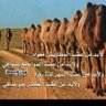 نايف الشمري profil fotoğrafı