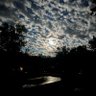 Фото профиля troy pachner
