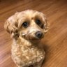 宗太朗 profil fotoğrafı