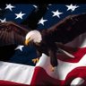 SoaringEagle's profile picture