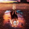 Фото профиля 秦.H