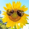Mayra Salguero's profile picture