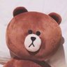 خرس قهوه‌ای's profile picture