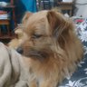 Analia profil fotoğrafı
