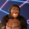 Profilbild von second oldest hominid