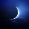Omri Mouadhe's profile picture
