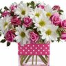 Profilbild von مصطفى نعينع