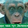 Profilbild von Зескот