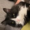 Profilbild von nona