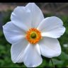 Фото профиля charliejones