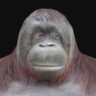 limace qui passe's profile picture