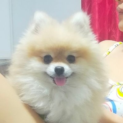 KristSantos1's profile picture