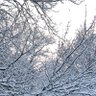 Фото профиля Andy Fox